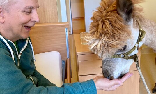 Tiergestützte Therapie